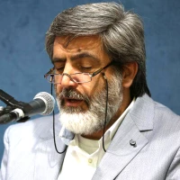 شجر نور نوبر آورده