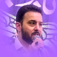 وحید شکری
