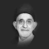 سید مصطفی هاشمی دانا