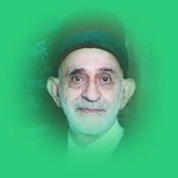 سید مصطفی هاشمی دانا