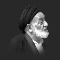 تصویر سید محمد کوثری - پناه عالمیان زینبت پناه ندارد