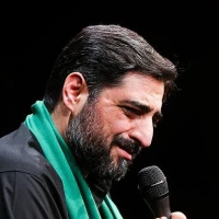 تصویر سید مجید بنی فاطمه - برمیگردم حرم