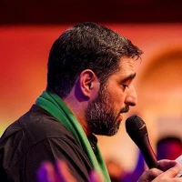 تصویر سید مجید بنی فاطمه - کشتی به گل نشسته اومده