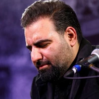 تصویر امیر کرمانشاهی - امام رضا جان