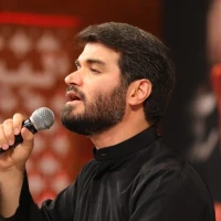 تصویر میثم مطیعی - می‌کشتم آه، این غصه‌ی جانکاه