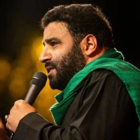 تصویر سیدمهدی میرداماد - مدینه شد قیامت