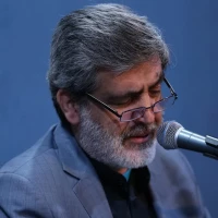 شجر نور نوبر آورده