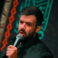 تصویر حسین ستوده - شاهی و دختر شاهی