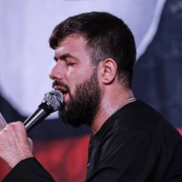 تصویر حسین ستوده - شفاعتم با دختر حسین