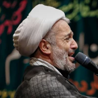 تصویر حجتالاسلام میرزامحمدی - ای آخرین بهار خدا، رد مکن مرا