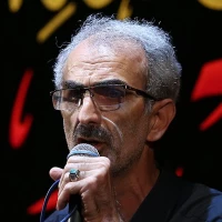 از سوزِ تب توانی به پیکر نداشتی