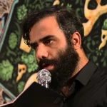 گلی گم کرده‌ام می‌جویم او را