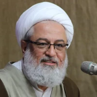 تصویر حجت الاسلام  عابدینی - حضور و اقدام به موقع 2