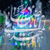 تصویر نوا - کلاغ سیاه