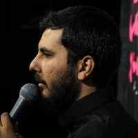 تو میدون غوغاست، امامم تنهاست