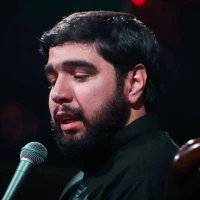 تصویر سید محمود علوی - کرمت، دست نینداخت مرا؛ دست گرفت