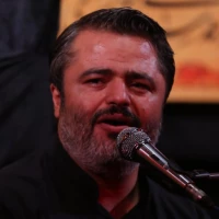 نه ذوالجناح دگر تاب استقامت داشت