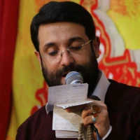 تصویر ابوذر روحی - تو داماد ایرانی ما شدی