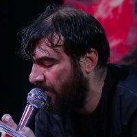 پناه و معنا کردم امام رضا