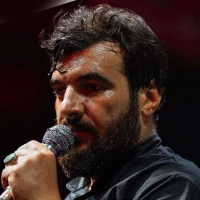 تصویر حسین عینی فرد - پناه و معنا کردم امام رضا