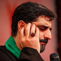 تصویر سید مجید بنی فاطمه - قدم قدم موکبارو می‌گردم...