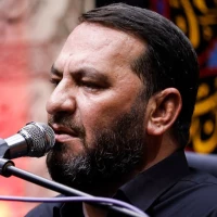 تصویر سعید خرازی - دلدادهات ای دلبرِ عالَم، شده مضطر