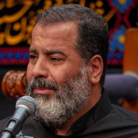 قربون کبوترای حرمت امام رضا