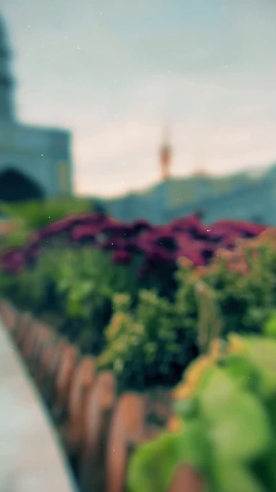 دلم تنگ شده برات