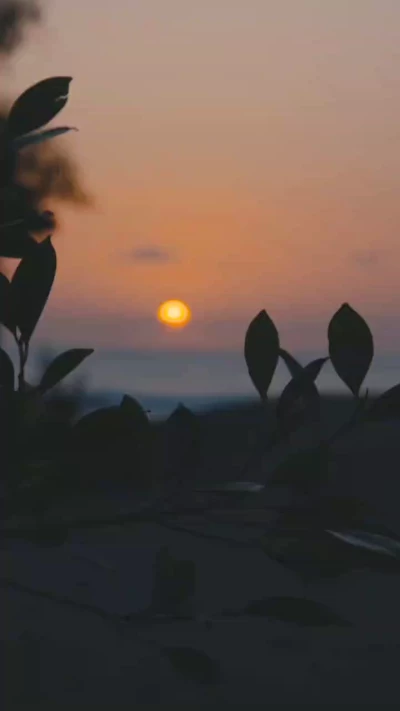 سوره بقرة