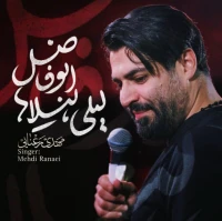 تصویر مهدی رعنایی - لیلی لیلاها ابوفاضل