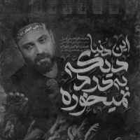 تصویر محمد ابراهیمی اصل - این دنیا دیگه به درد نمیخوره