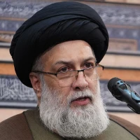 تصویر حجت الاسلام علوی تهرانی - تفاوت شیعه و سنی و حقیقت شیعه