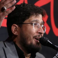 تصویر امین شادکام - من اسیر نجفم من فقیر نجفم