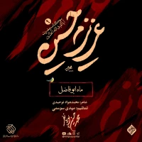 ماه ابوفاضل