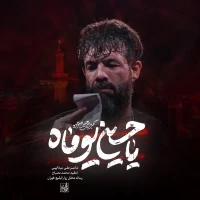 تصویر حسین ستوده - یاحسین یوماه