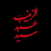 زینب الگوی شجاعت