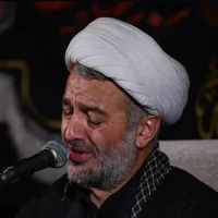 در ضریحش بهشت جا دارد