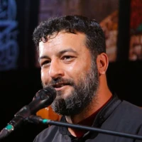 تصویر سید امیر حسینی - دوباره مرغ دل هوایی حرم شده