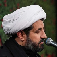 تصویر حجت الاسلام اسماعیل رمضانی - پذیرش واقعیت با شرایط خاص