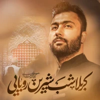 تصویر محمد افشاری - کربلا شب شیرین رویایی
