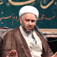 تصویر حجت الاسلام شحیطاط - کار خودم رو من فقط زیاد کردم