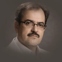 سید محمد عاملی
