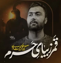 تصویر محمد افشاری - قمر زیبای حرم