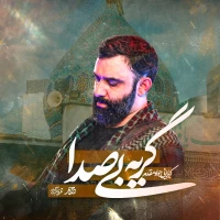 تصویر جواد مقدم - گریه‌ بی‌صدا