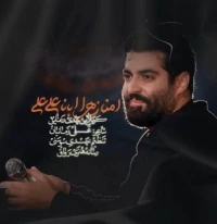 تصویر مهدی رعنایی - امنا زهرا ابانا علی