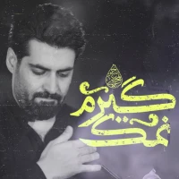 تصویر مهدی رعنایی - نمکگیرم