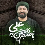 با تعصبم من به ولایت علی