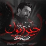 تحت لواء حیدریون