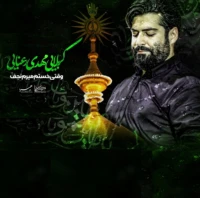 تصویر مهدی رعنایی - وقتی خستم میرم نجف