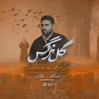 تصویر محمدرضا خامه چیان - گل نرگس